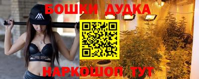 сатива Будённовск