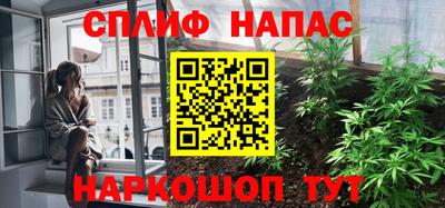 сатива Будённовск