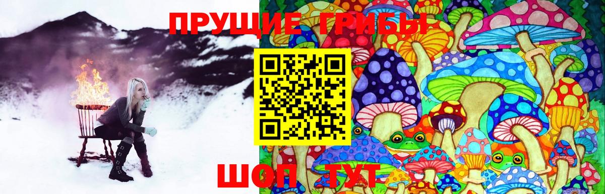 Псилоцибиновые грибы Psilocybe  Вход с VPN  Пыть-Ях 